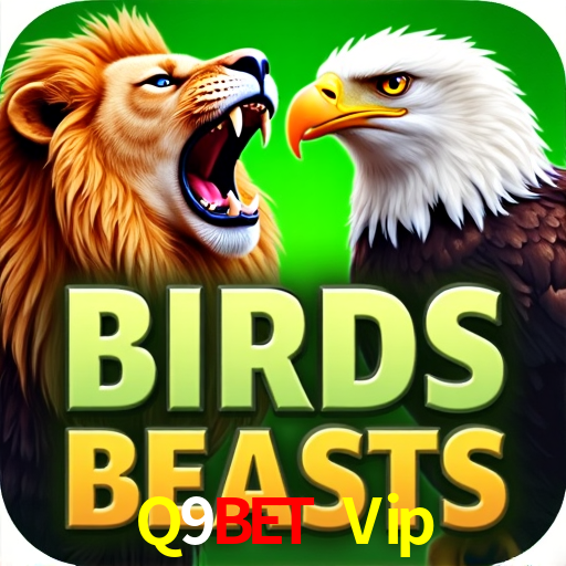 Benefícios da Conta Q9Bet Vip