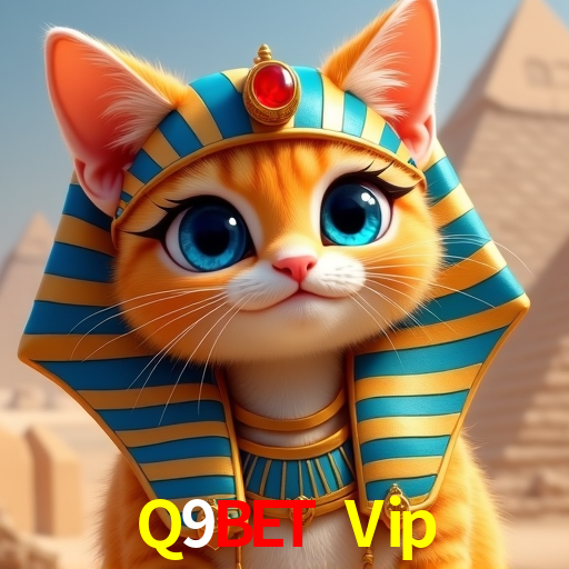 Sistemas de Segurança Q9Bet Vip