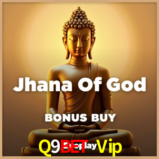 Experiência VIP Q9Bet Vip