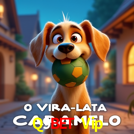 Login Seguro Q9Bet Vip